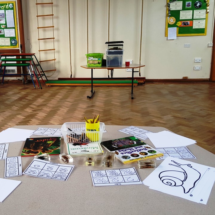 [Meet The Beasts - Activities & workshops in schools]