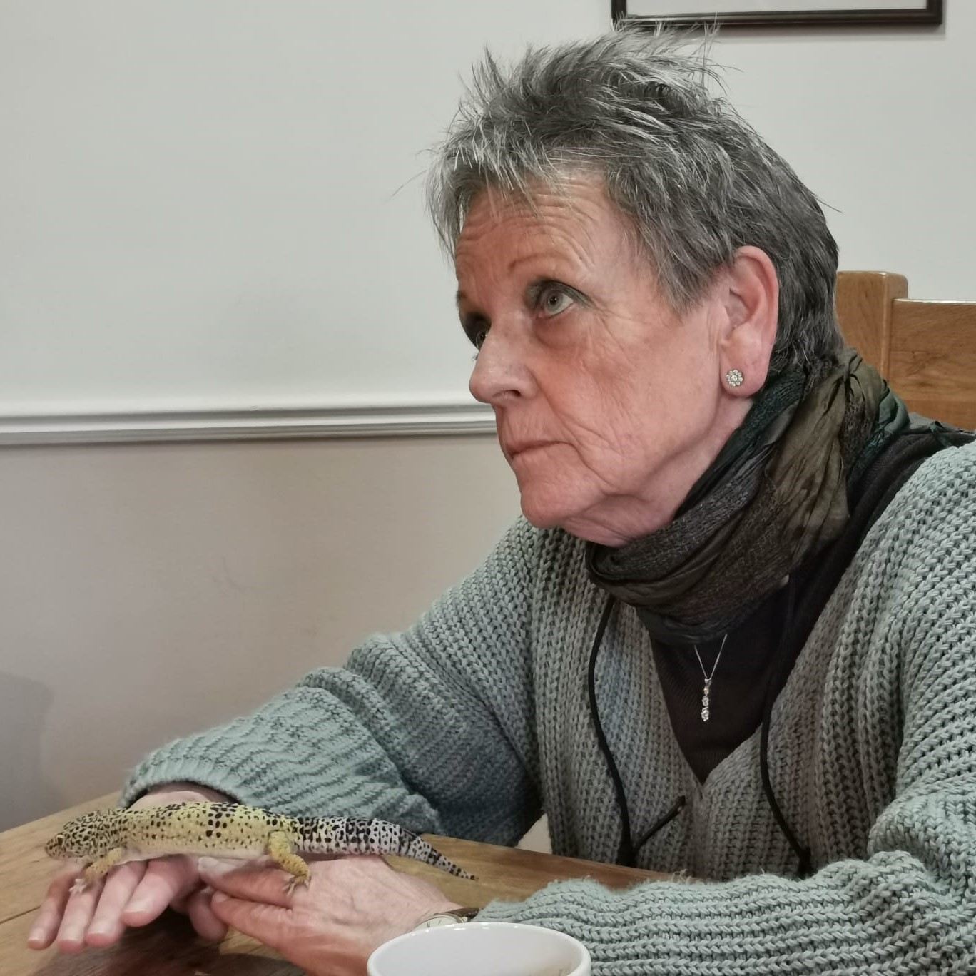 [One-to-one gecko handling overcoming lizard fears]