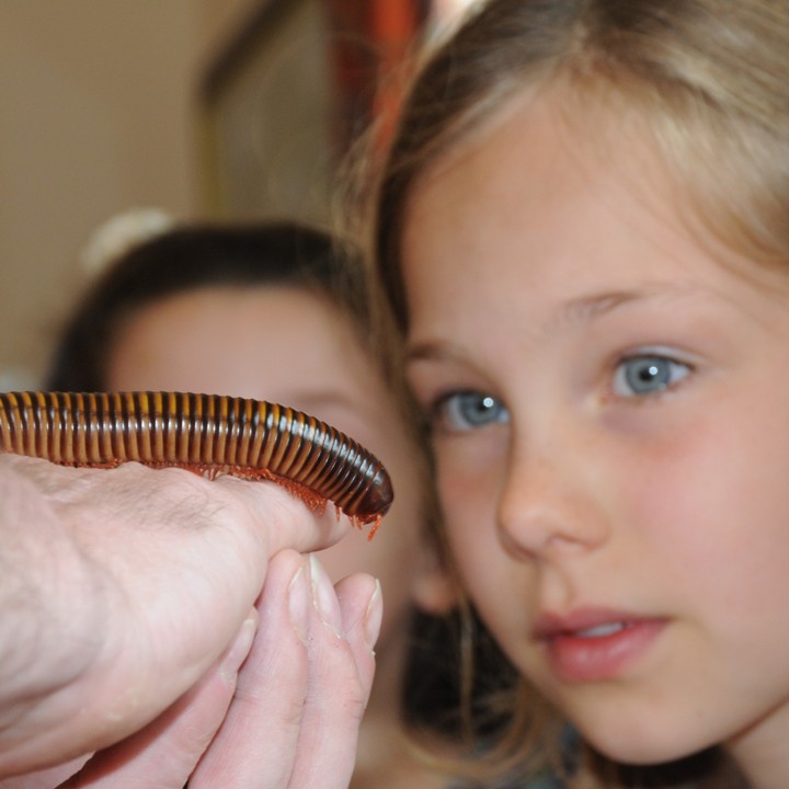 [Transforming science topics & confidence in primary schools - Meet The Beasts]